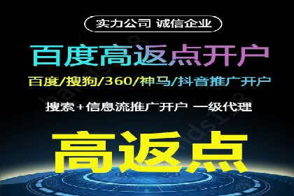 某电商平台SEM竞价广告的转化率提升案例