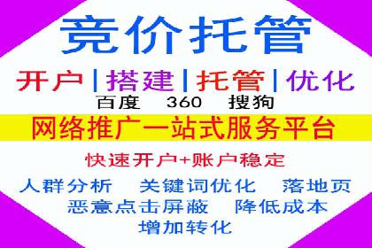 SEM服务助力电商行业案例解读